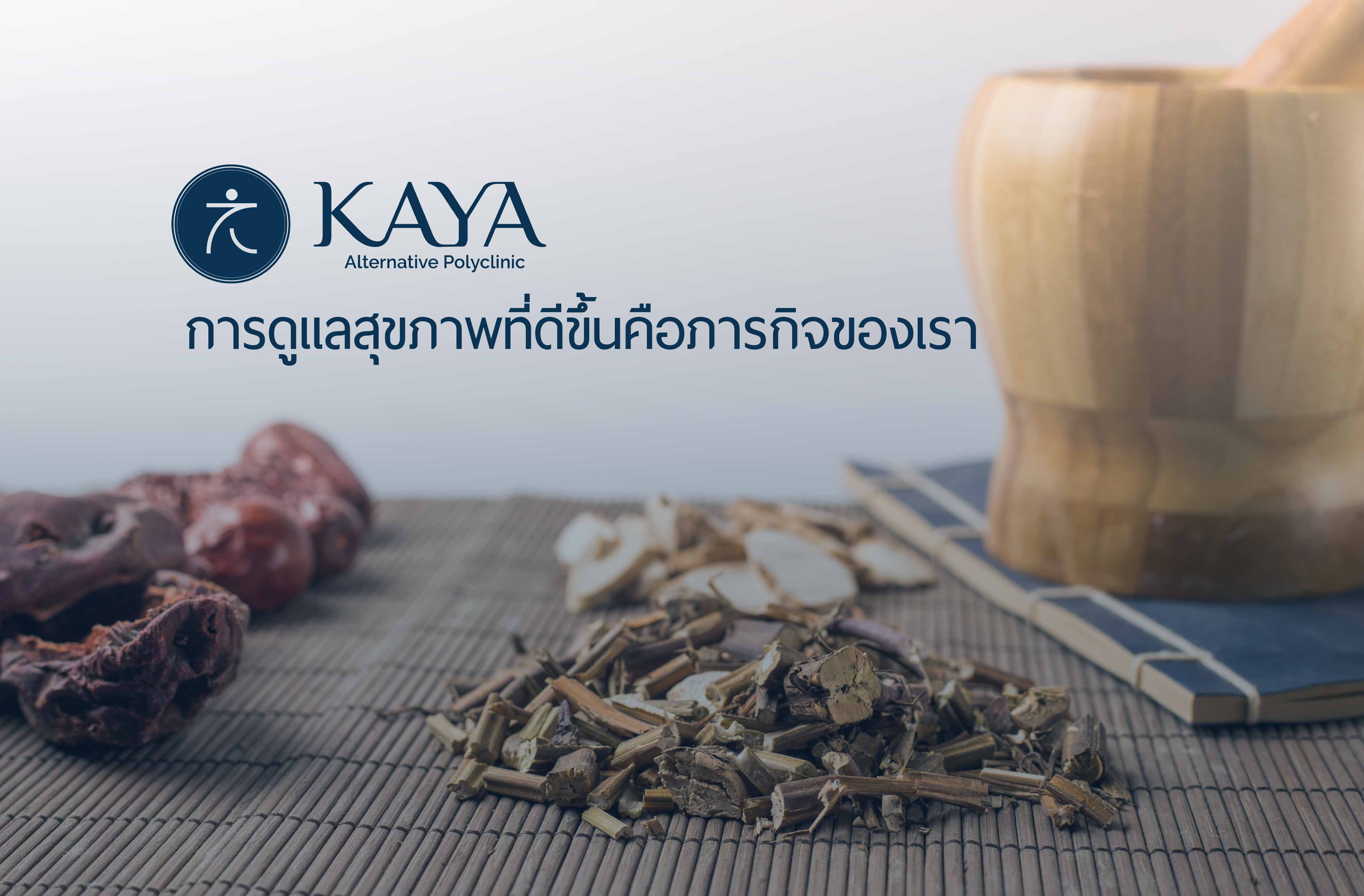 ปกเกี่ยวกับเรา